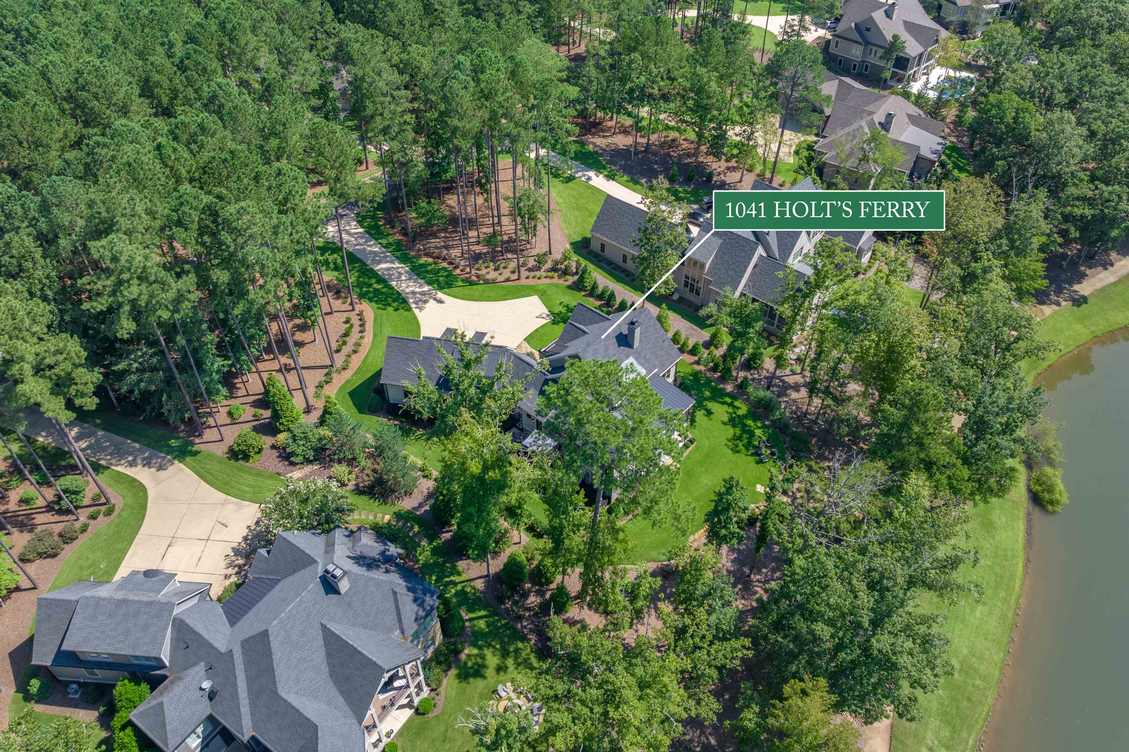 1041 Holt's Ferry image 63